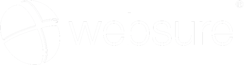 Transparent White logo for the Websure platform